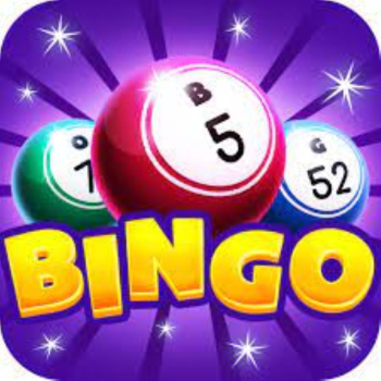 BINGO REAL by Natnael Zewdu Lemma