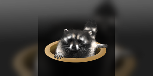 Cover image for Raccoon on the Run