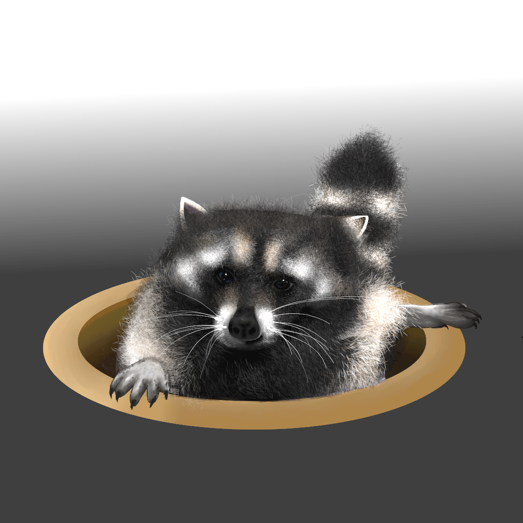 Cover image for Raccoon on the Run