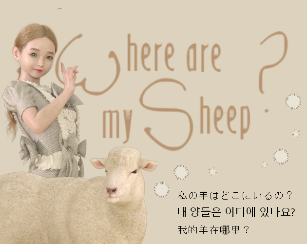 Where are my sheep?