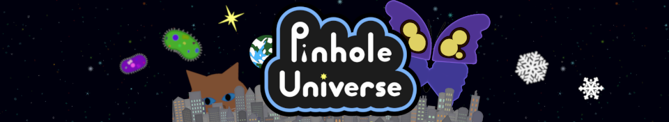 Pinhole Universe