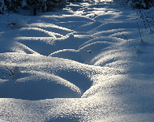 Wet snow simulator