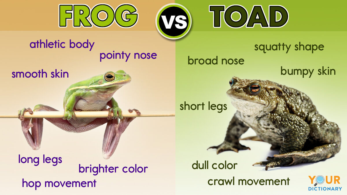 A Simple Comparison to help