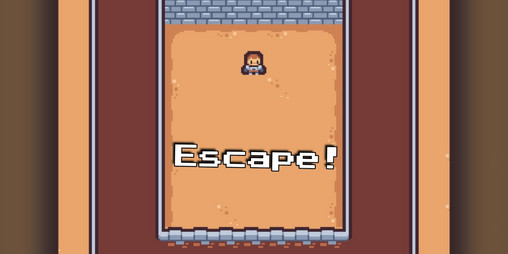 Cover image for Escape !
