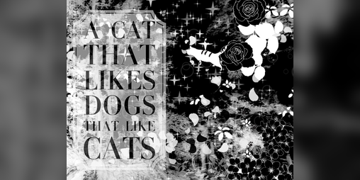Cover image for a cat that likes dogs that like cats