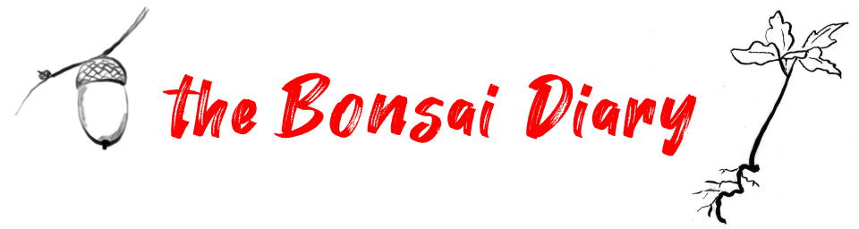 the Bonsai Diary