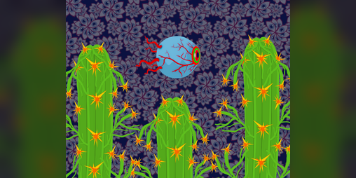Cover image for Fly Eye
