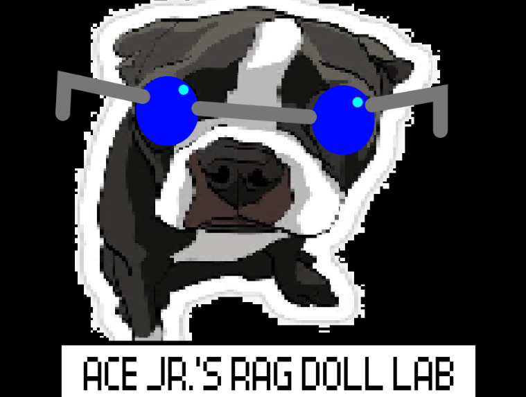 Ace Jr.'s Ragdoll Lab