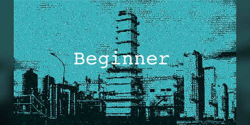 Cover image for Beginner
