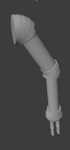 Player Character's Arm