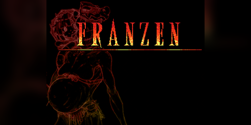 Cover image for Franzen