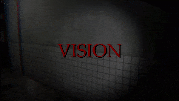 Vision