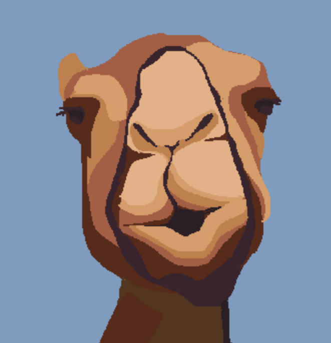 Camel Castaway