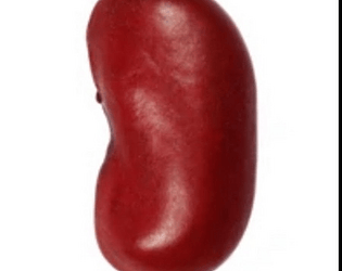 Beanlab