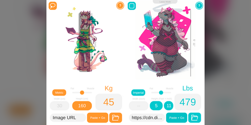 Cover image for Character Weight