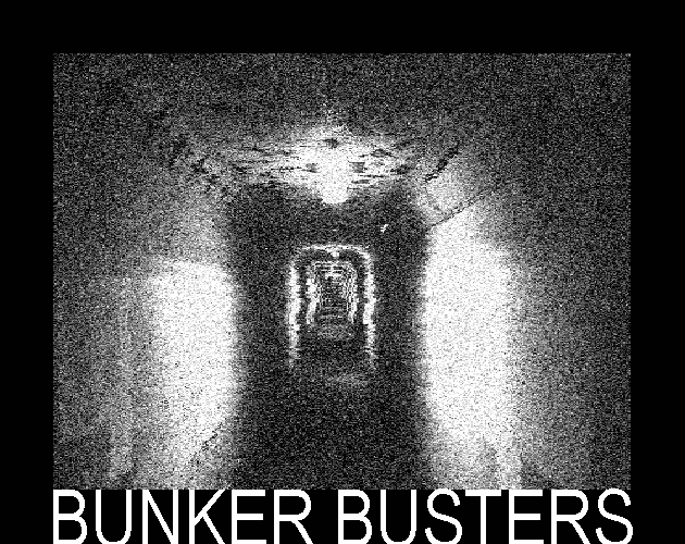 Cover image for Bunker Busters