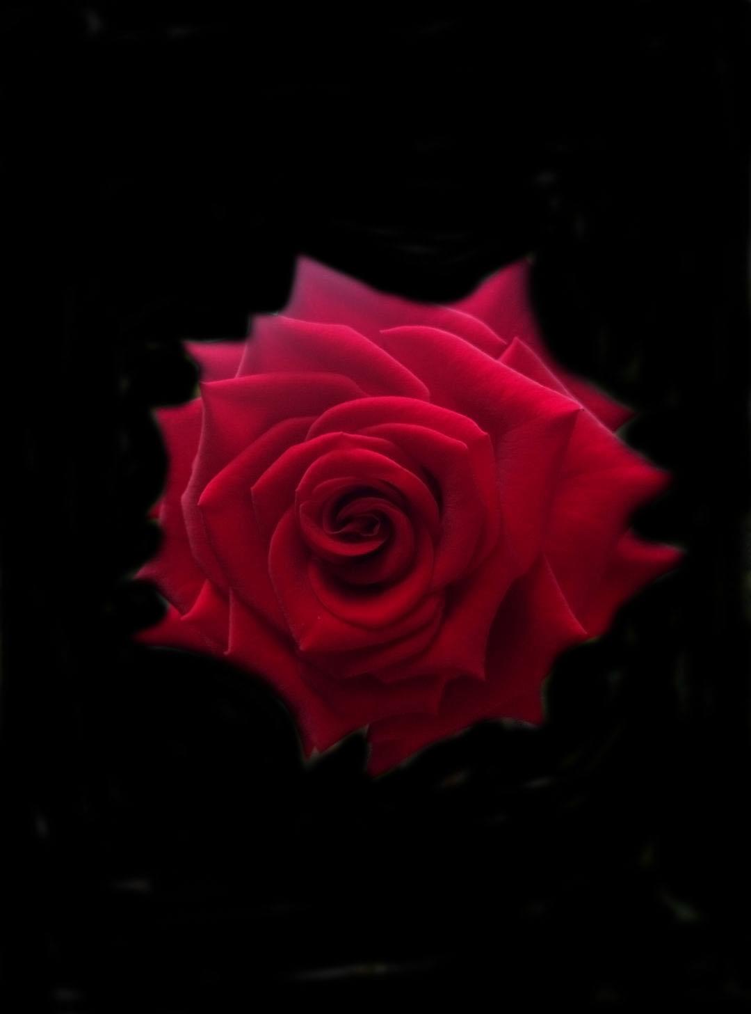 Cover image for Gamification Box