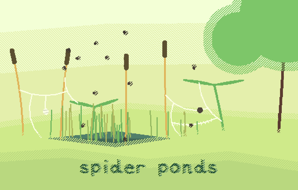 spider ponds