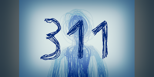 Cover image for 311