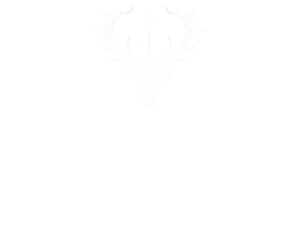 Ethereal Metropolis Demo