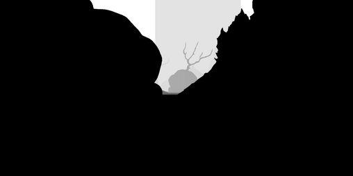 Cover image for A Mass of Radiant Flies and a Body