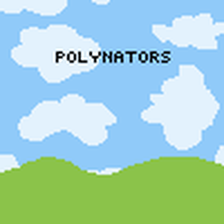 Polynators
