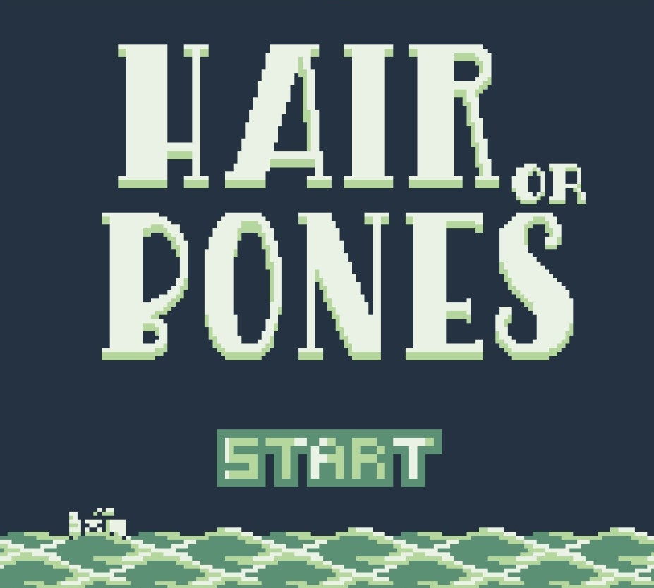 Cover image for Hair or Bones