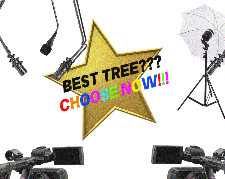 Cover image for BEST TREE??? CHOOSE NOW!!!