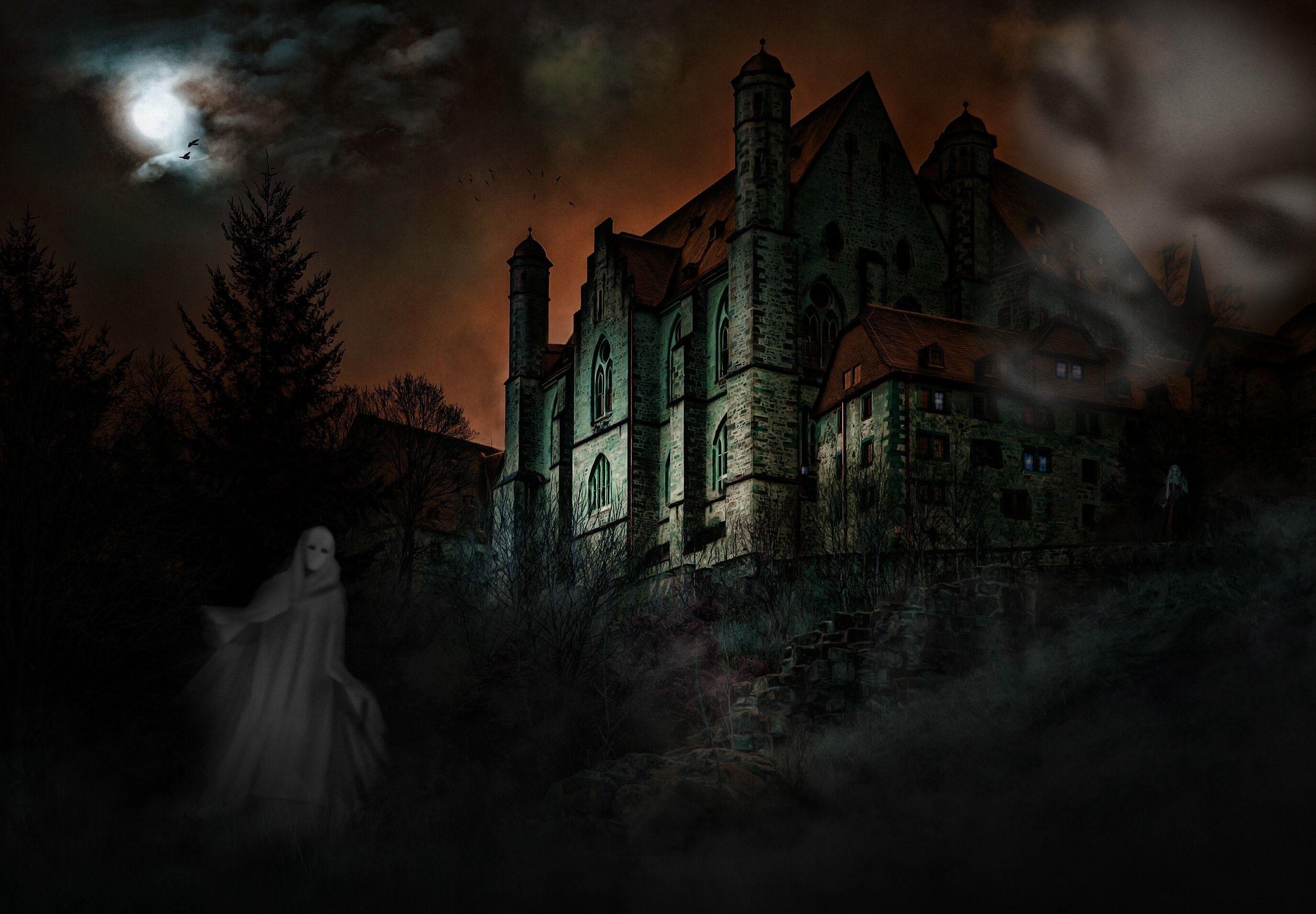 Cover image for Eternal Darkness: Veil of Shadows