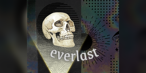 Cover image for Everlast