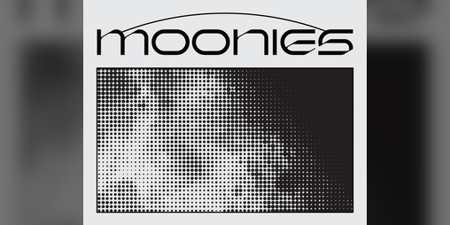 Cover image for Moonies