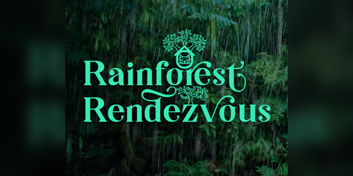 Cover image for Rainforest Rendezvous