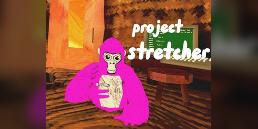 Cover image for Project stretchers