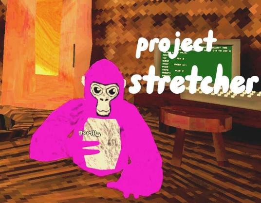 Cover image for Project stretchers