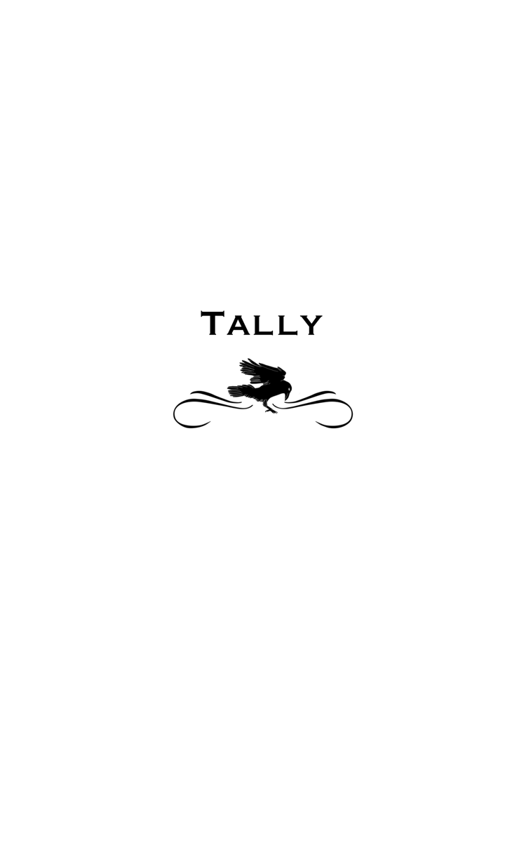 Cover image for Tally