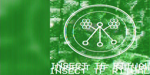 Cover image for (is) – Insect Transformation Ritual