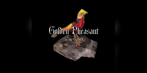 Cover image for Golden Pheasant (The Game)