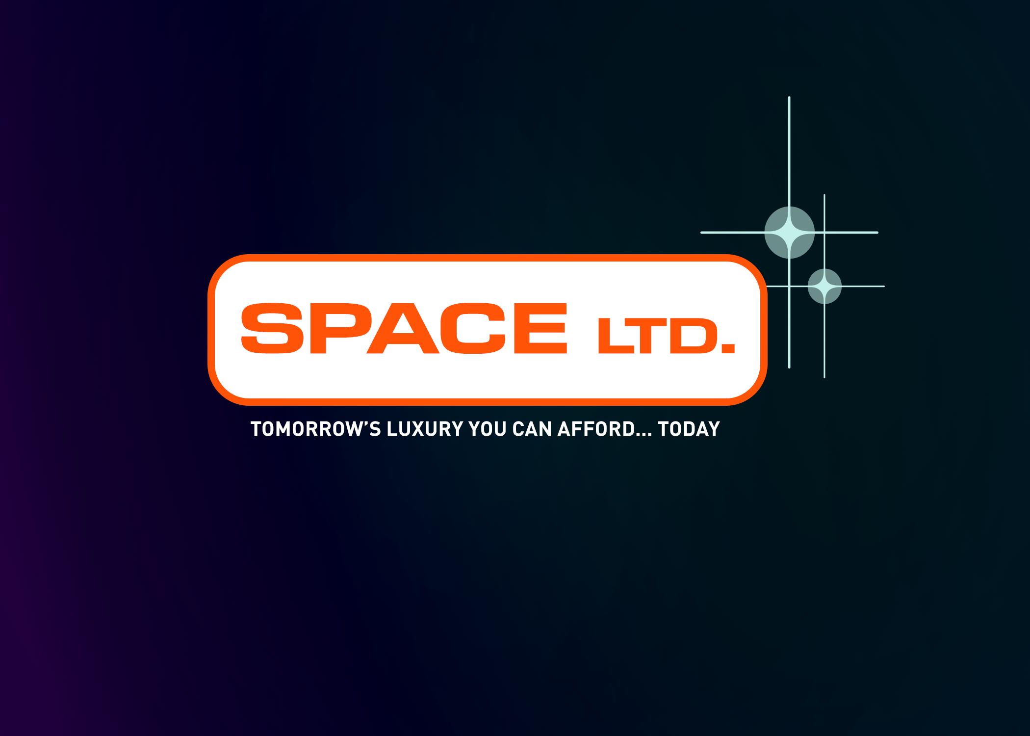 Cover image for Space Ltd.
