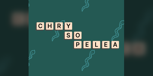 Cover image for Chrysopelea