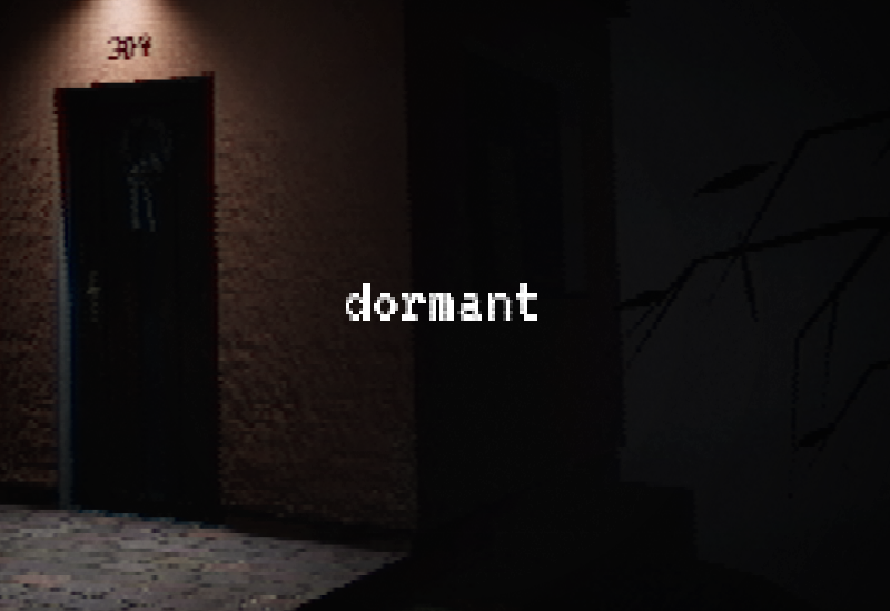 Cover image for Dormant
