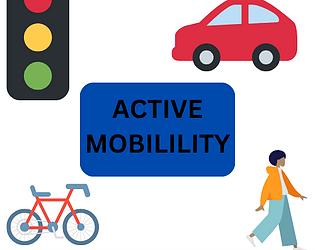 Active Mobility Game