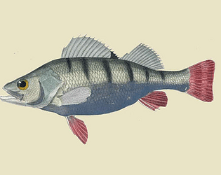 Fish1ng Res0rt