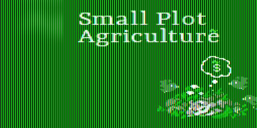 Cover image for Small Plot Agriculture