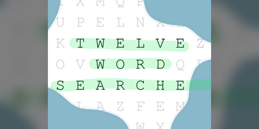 Cover image for 12 Word Searches