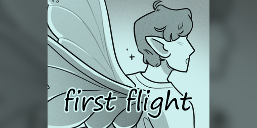 Cover image for first flight