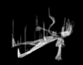 The Point of No Return