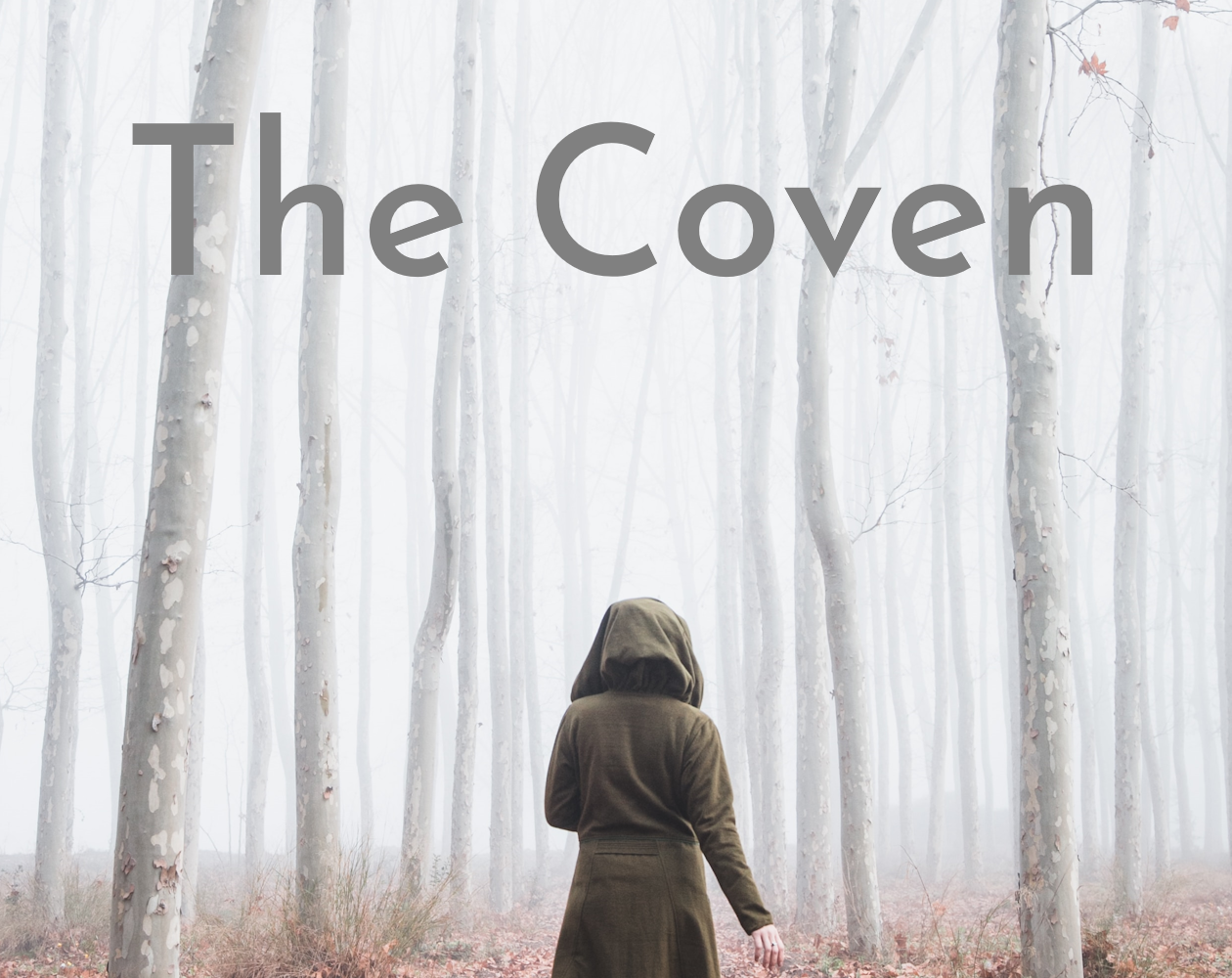 Cover image for The Coven