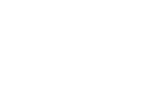 Memory Pig