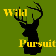 Wild Pursuit
