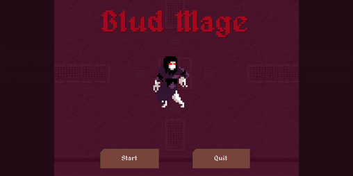 Cover image for Blud Mage